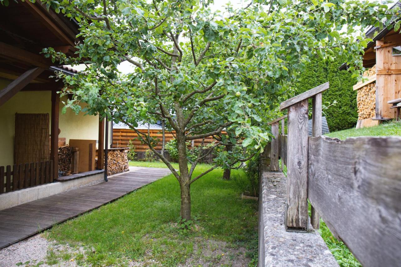 Ferienhaus Schiestl 韦兴 外观 照片